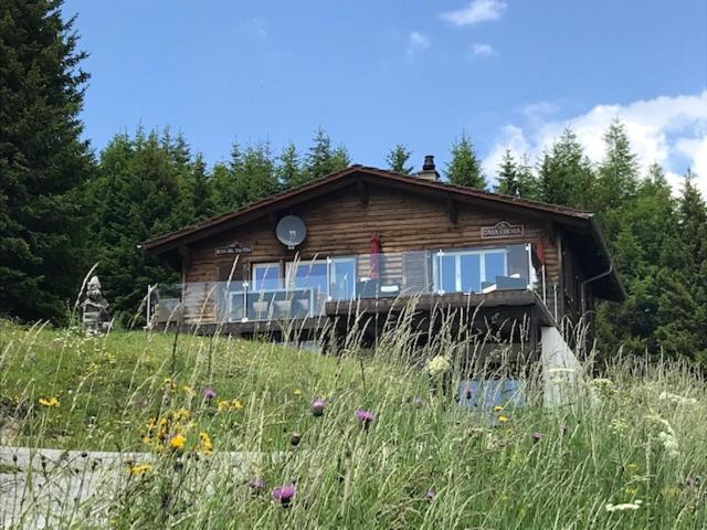 הוילה ואלבלה Chalet Casa Cresta - Top Of Lenzerheide - Bis 8 Personen מראה חיצוני תמונה